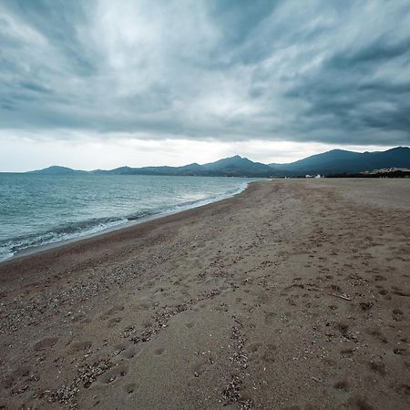 Studio Les Pieds Dans L'Eau Argeles Sur Mer Exterior foto